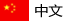 簡(jiǎn)體中文